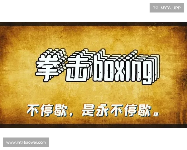 拳击运动制度文化建设促进体育精神弘扬
